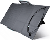 پنل خورشیدی EcoFlow 110W